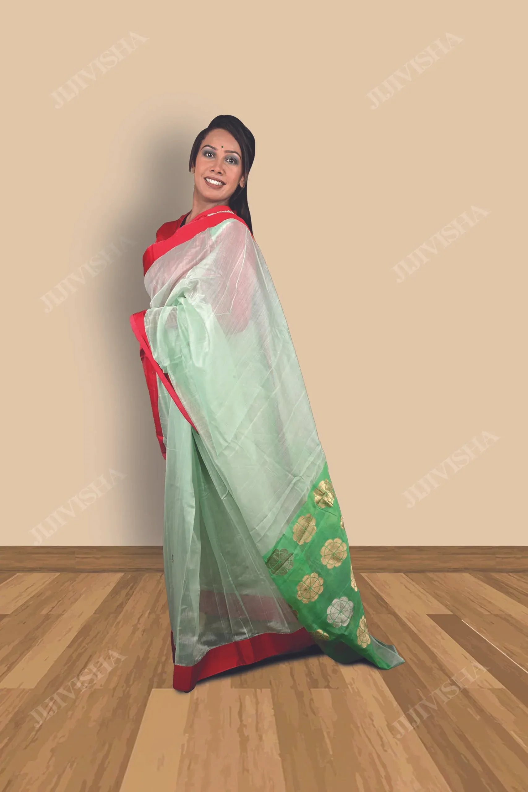 JVWSR028_2 Buy Mint Green Chanderi Silk Saree Online