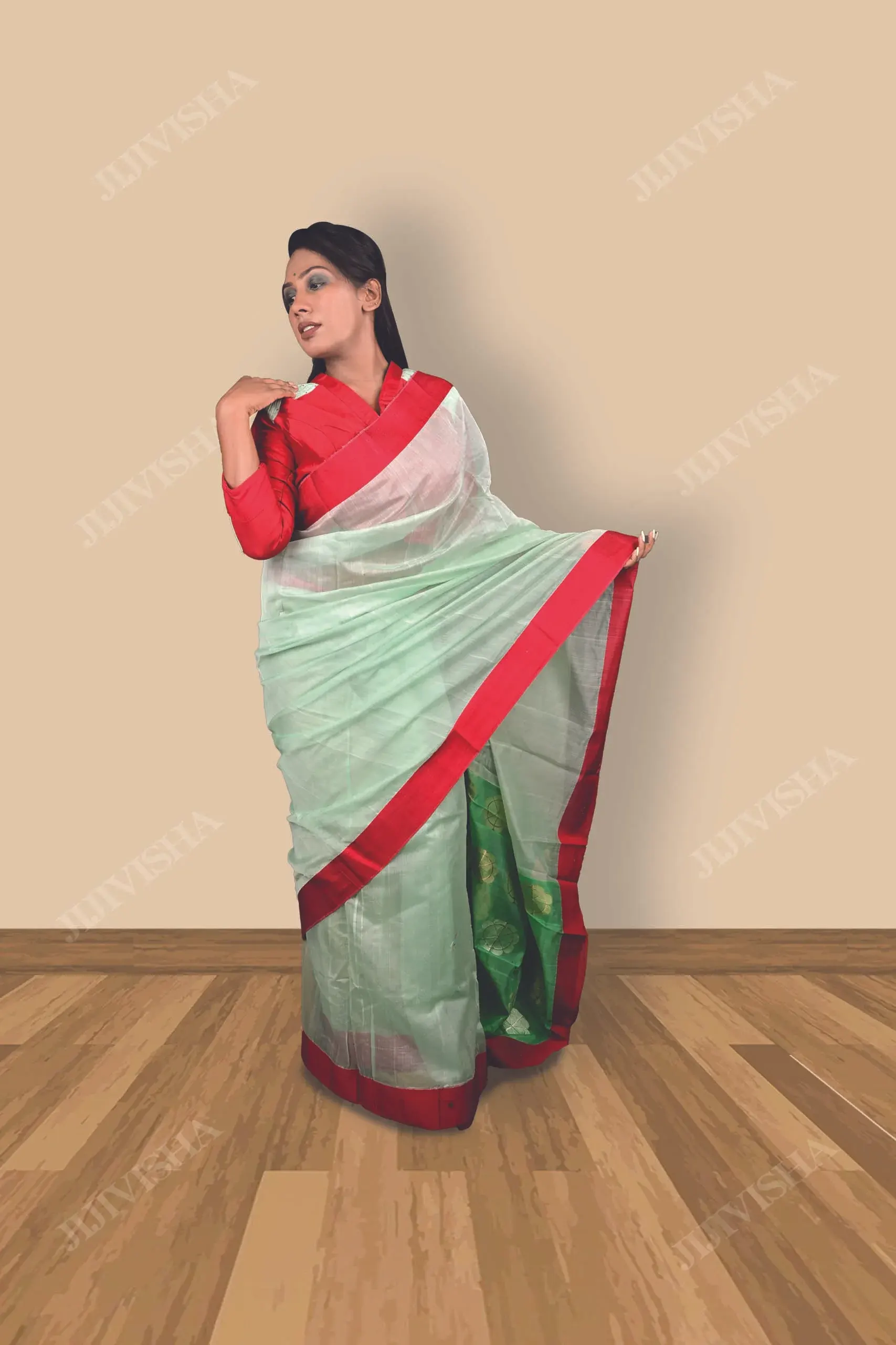 JVWSR028_4 Buy Mint Green Chanderi Silk Saree Online