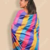 Buy Multicolored 4D Bishnupuri Handwoven Silk Saree Online