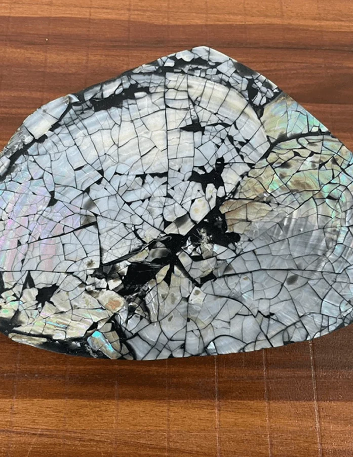 White Shell Clutch - Gallery Image