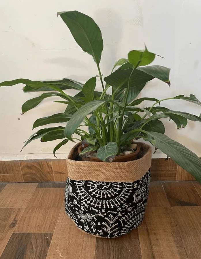 Monochrome Elegance Jute Planter - Gallery Image