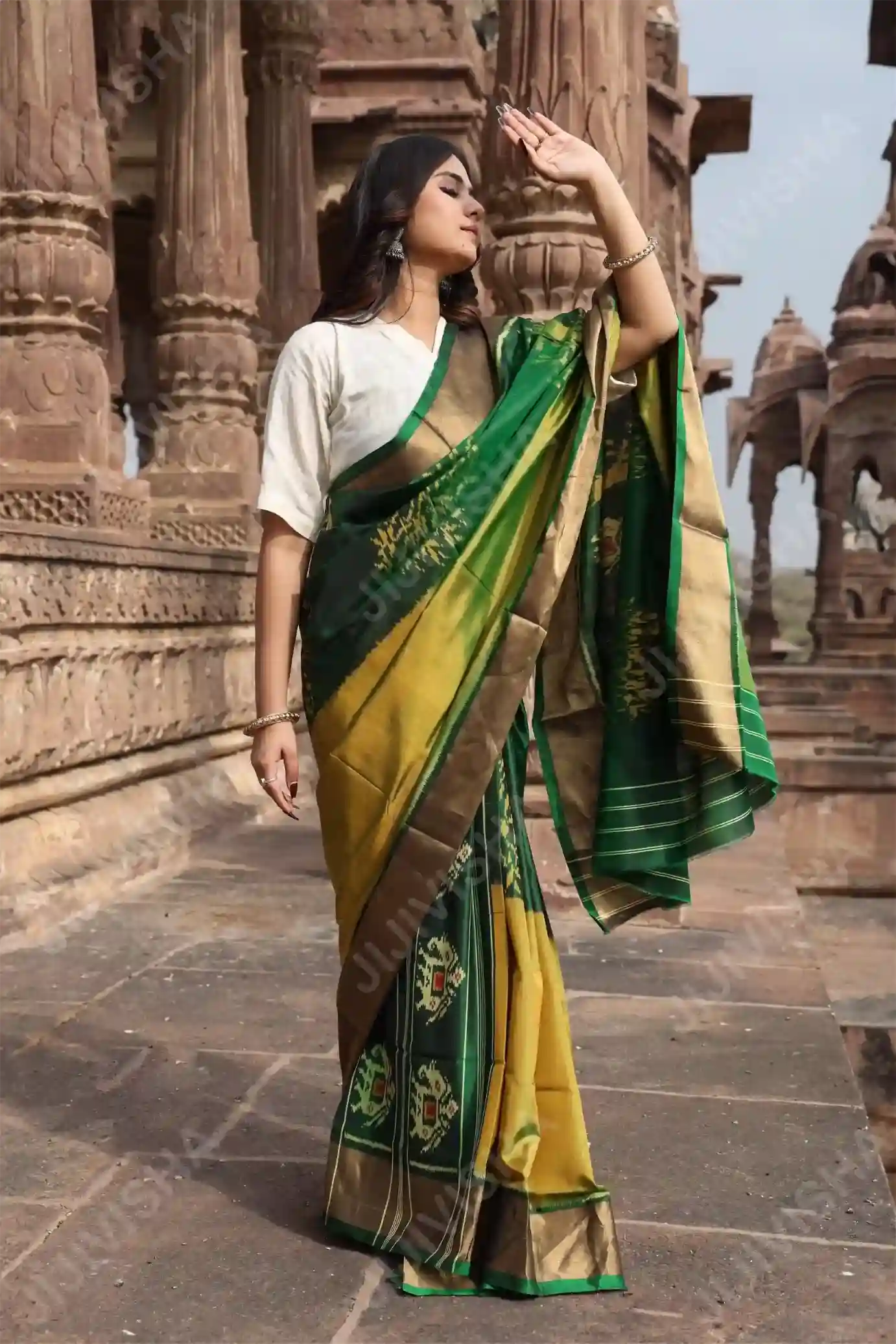 Buy Pristine Meadow Patola Silk Saree Online