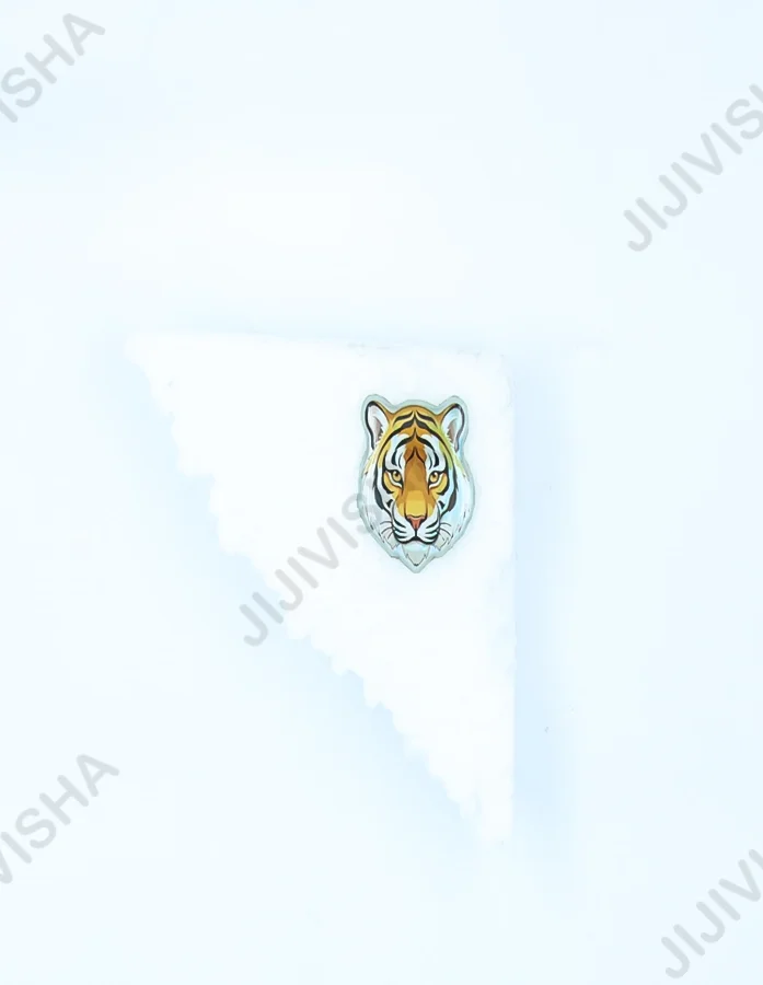 Buy Tiger's Gaze Brooch Online