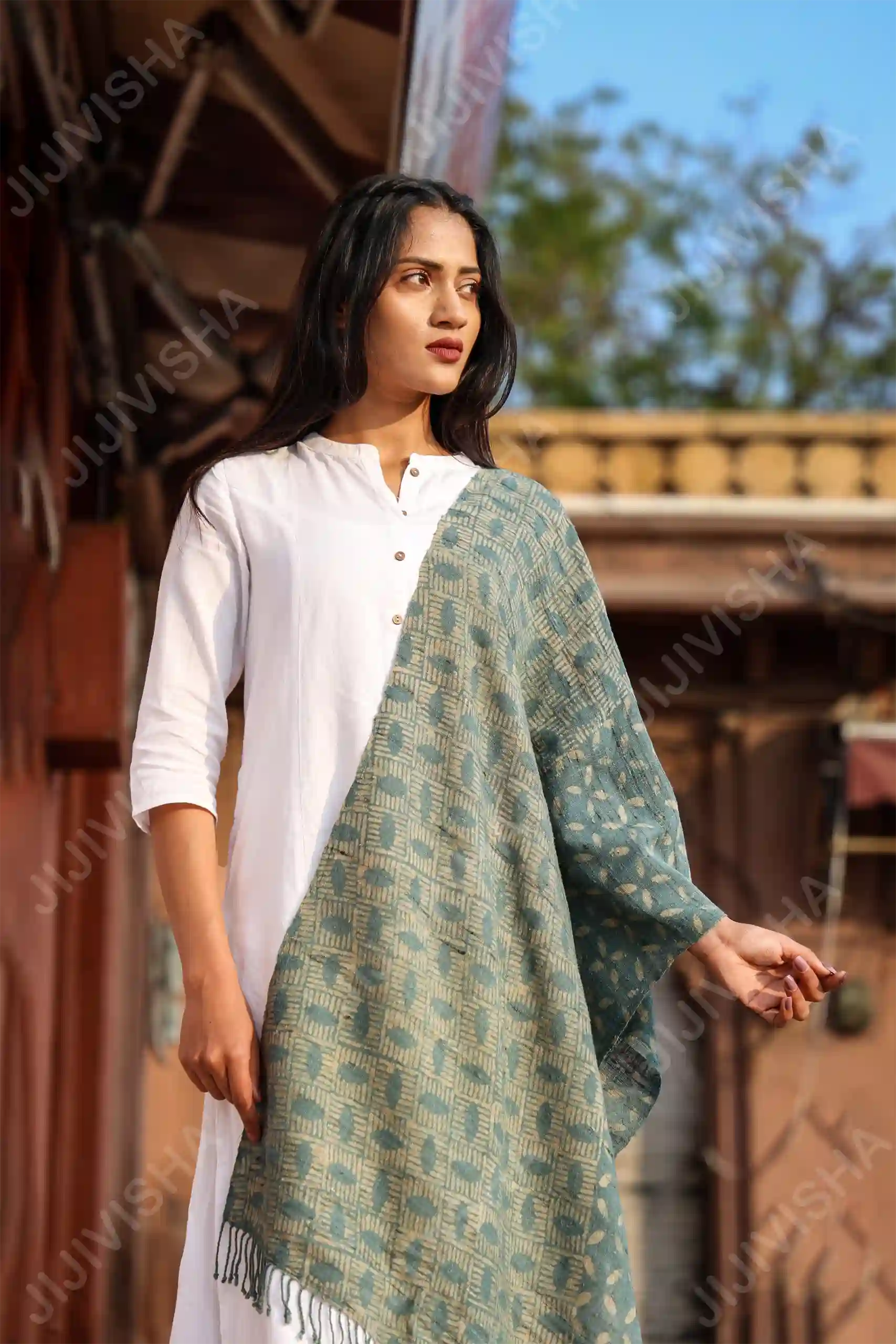 JVWAPSW029_4 Buy Verdant Oval Ajrakh Ghicha Stole online