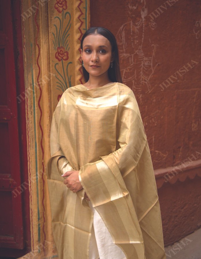Buy Golden and Beige Handwoven Chanderi Silk Dupatta Online