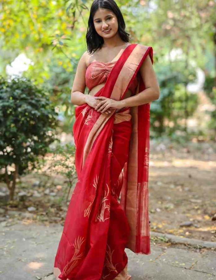 Gulabi Chanderi Silk Saree - Gallery Image
