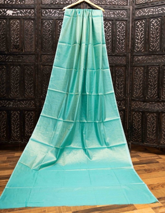Sea Green Tissue Silk Fabric